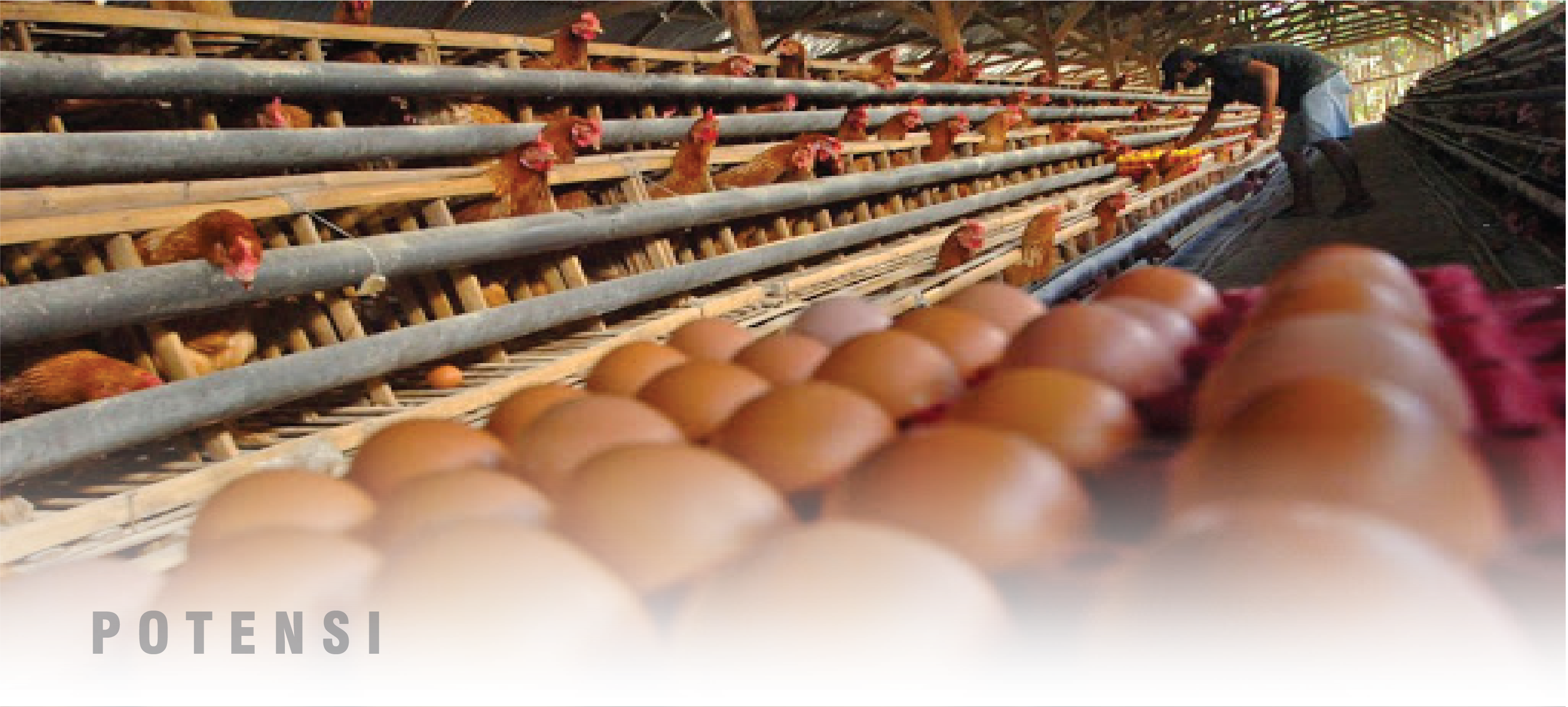 Kami Siap Divaksin !!! Kami Sudah Divaksin !!!